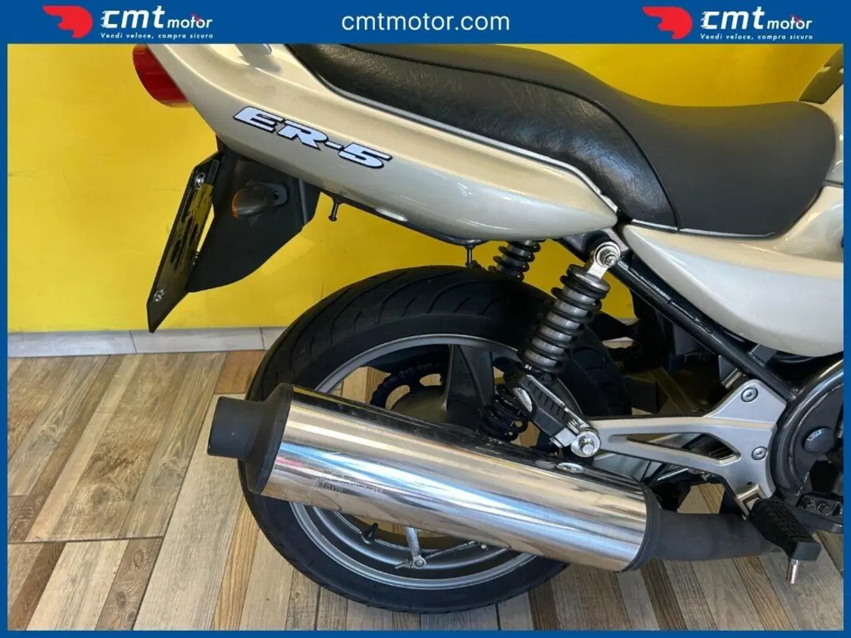 Kawasaki ER-5 500 (2001 - 06) (9)