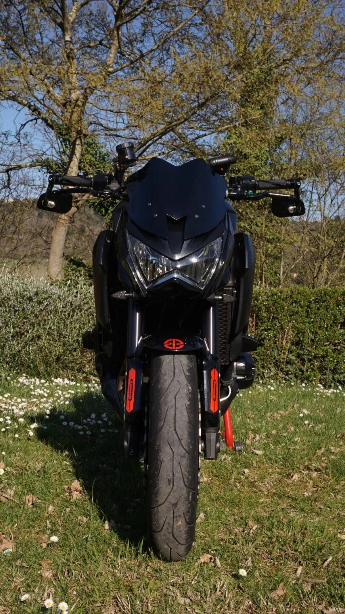 Kawasaki Z 800 e ABS (2012 - 16)