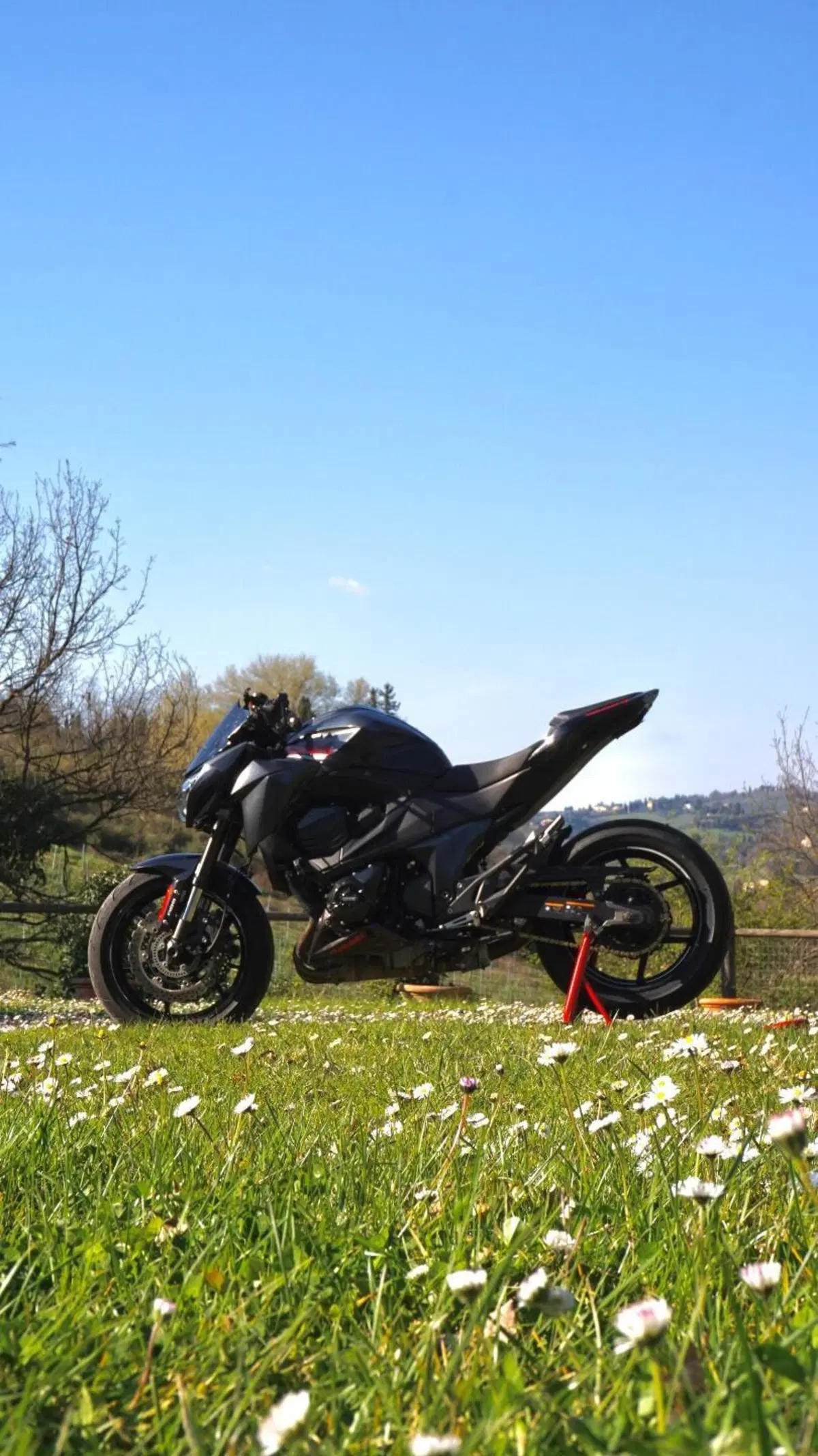 Kawasaki Z 800 e ABS (2012 - 16) (2)