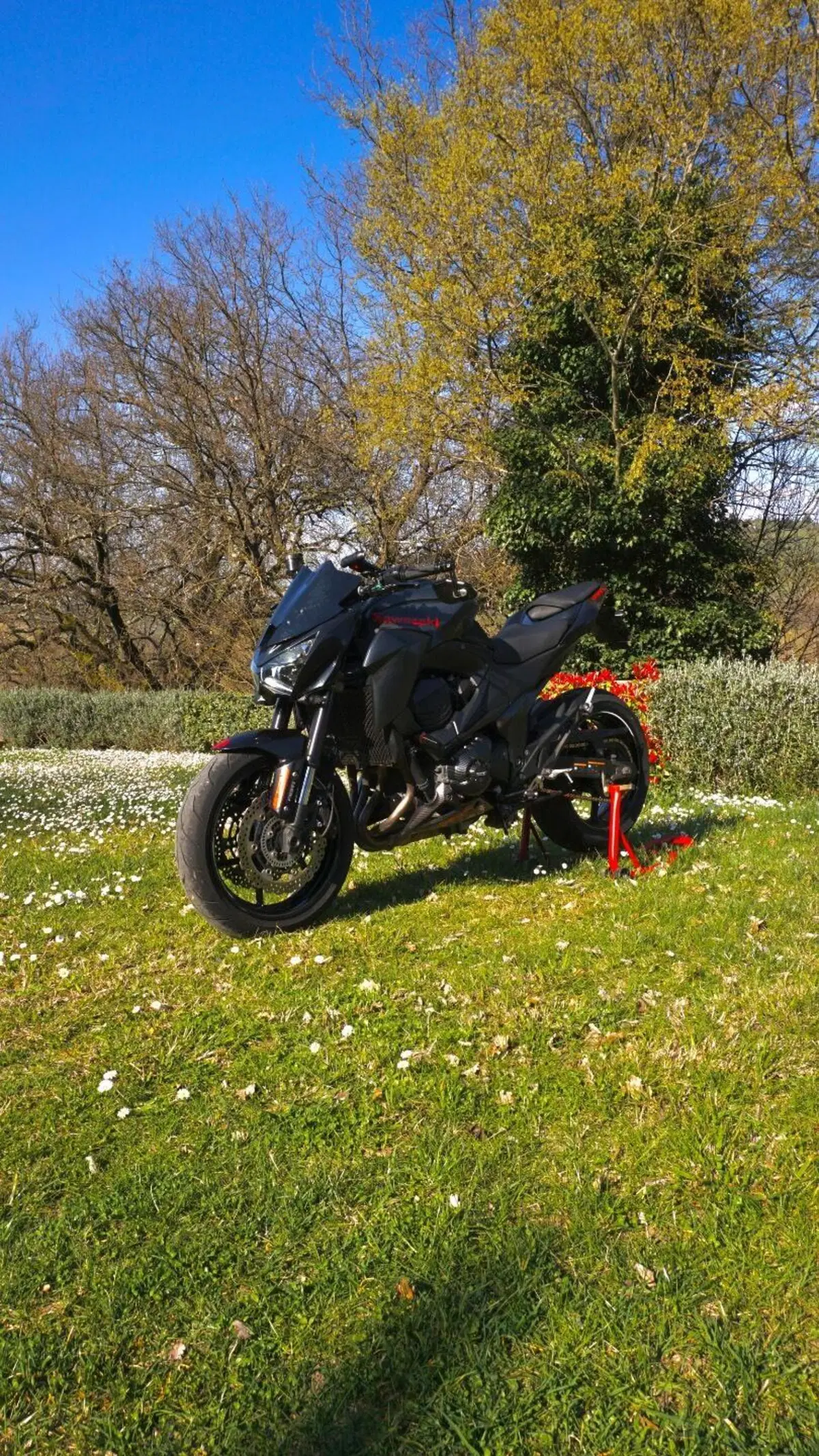Kawasaki Z 800 e ABS (2012 - 16) (3)