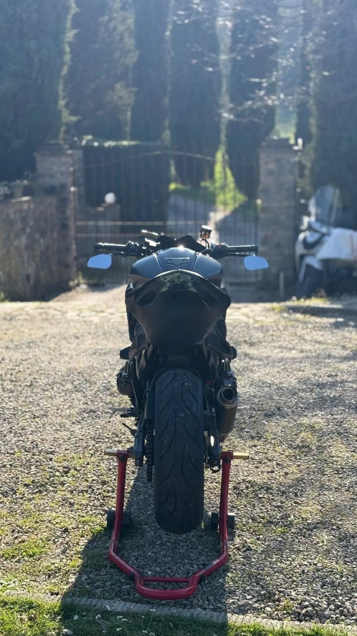 Kawasaki Z 800 e ABS (2012 - 16) (4)