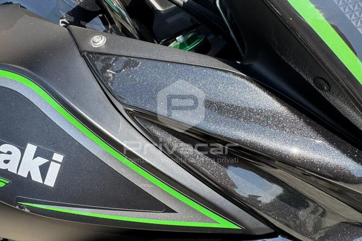 Kawasaki Versys 650 (2017 - 20) (10)
