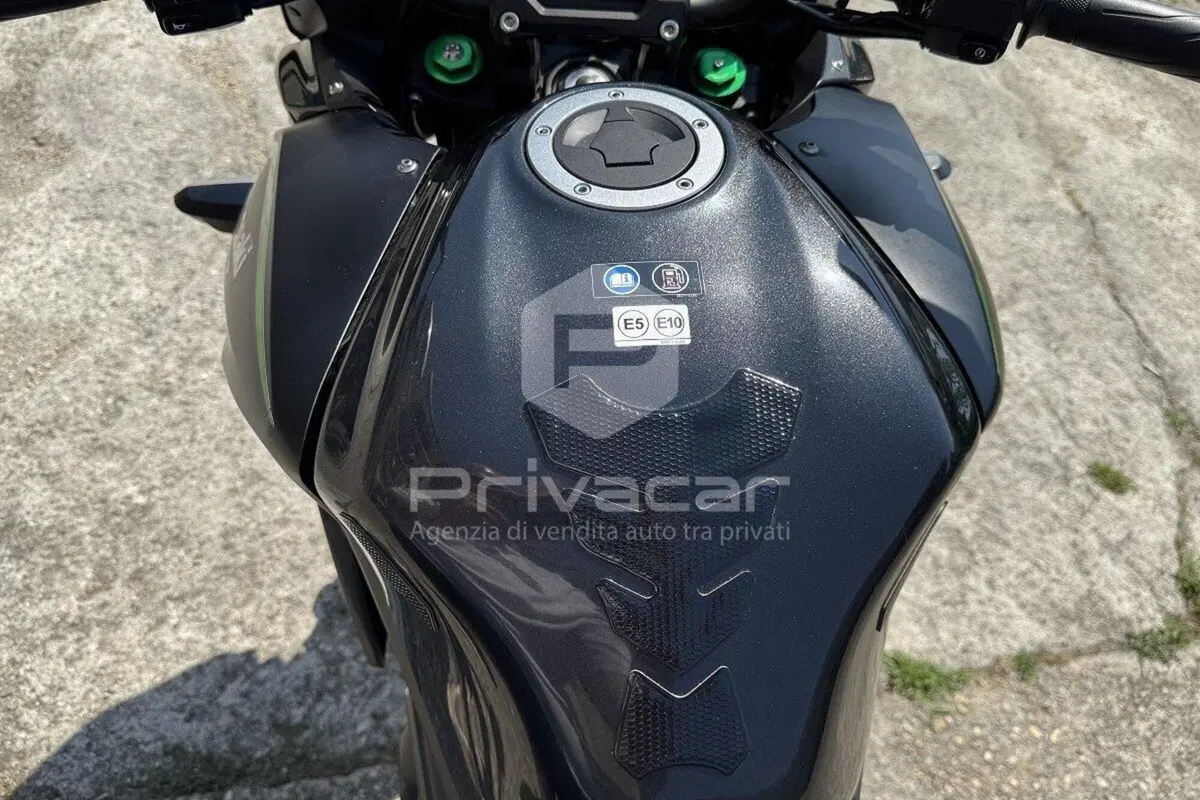 Kawasaki Versys 650 (2017 - 20) (8)