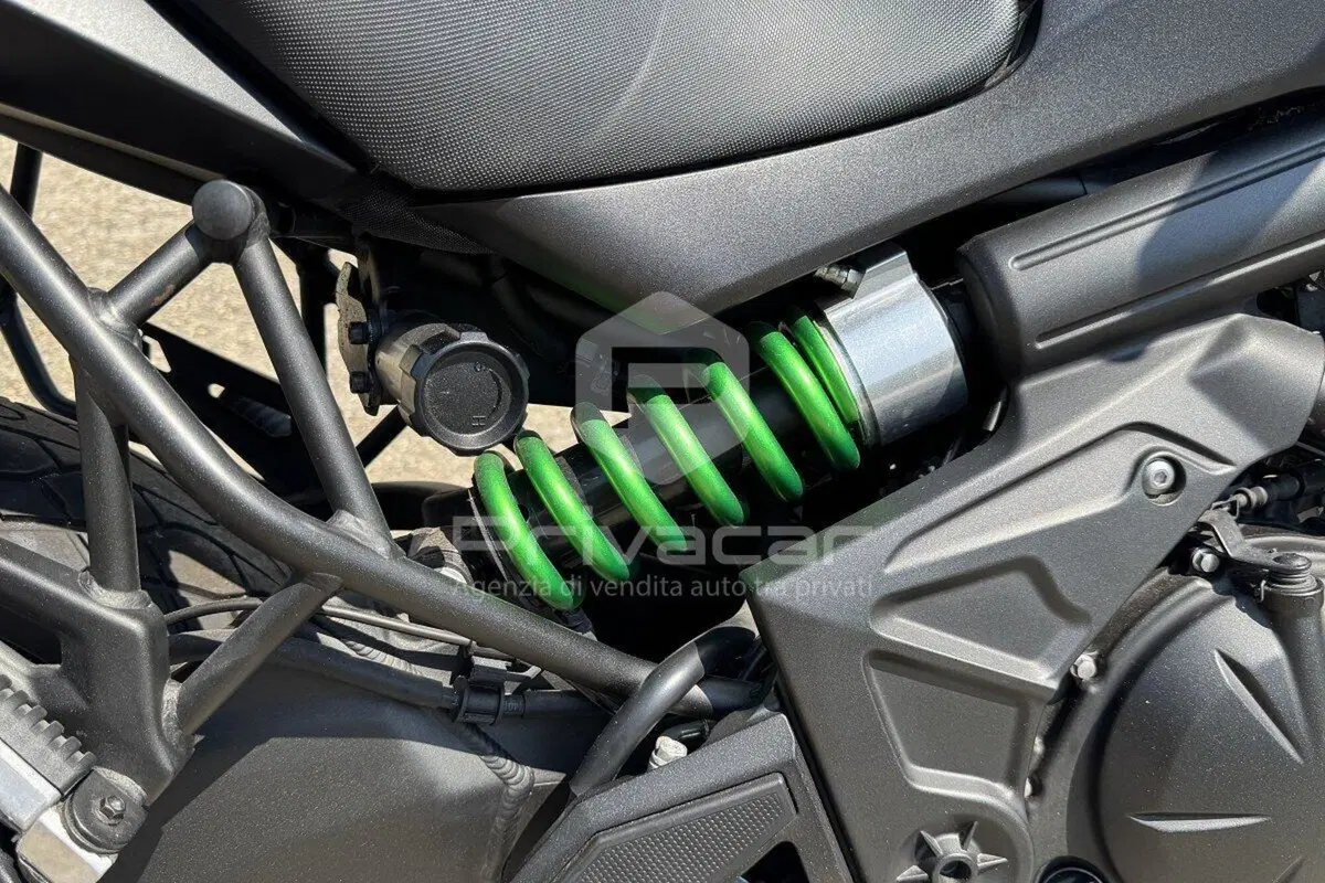 Kawasaki Versys 650 (2017 - 20) (11)