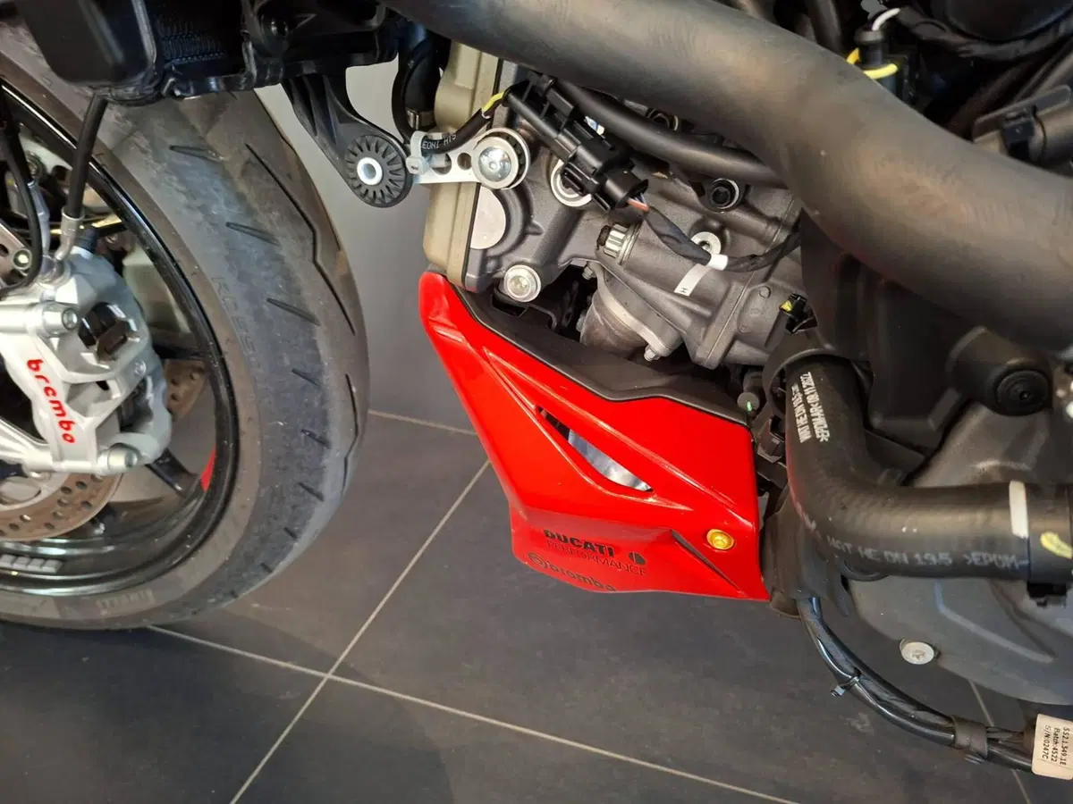 Ducati Monster 937 SP (2023 - 25) (16)
