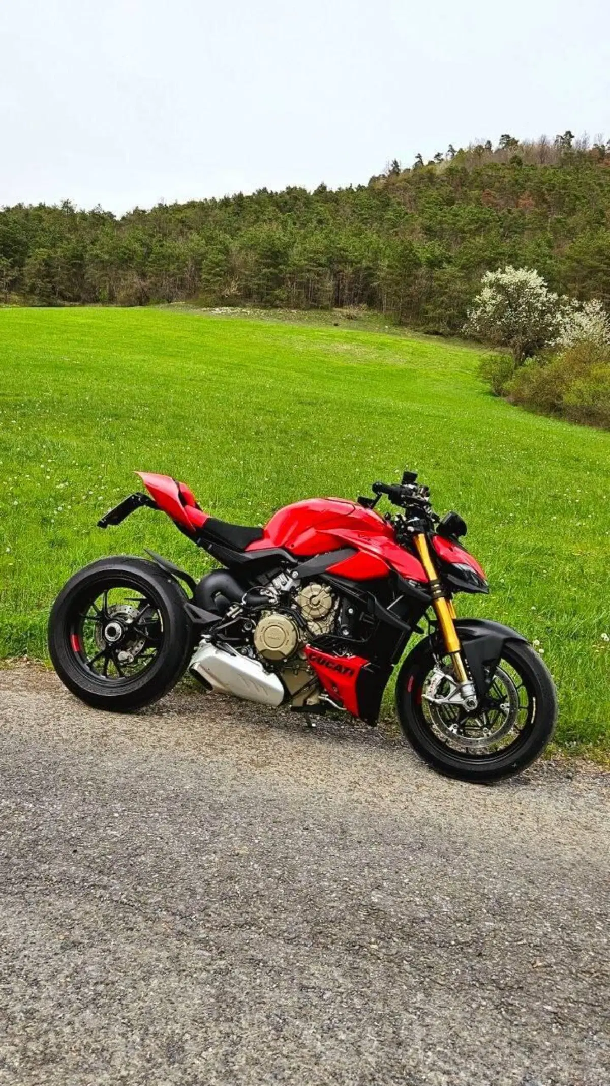 Ducati Streetfighter V4 S (2023 - 24)