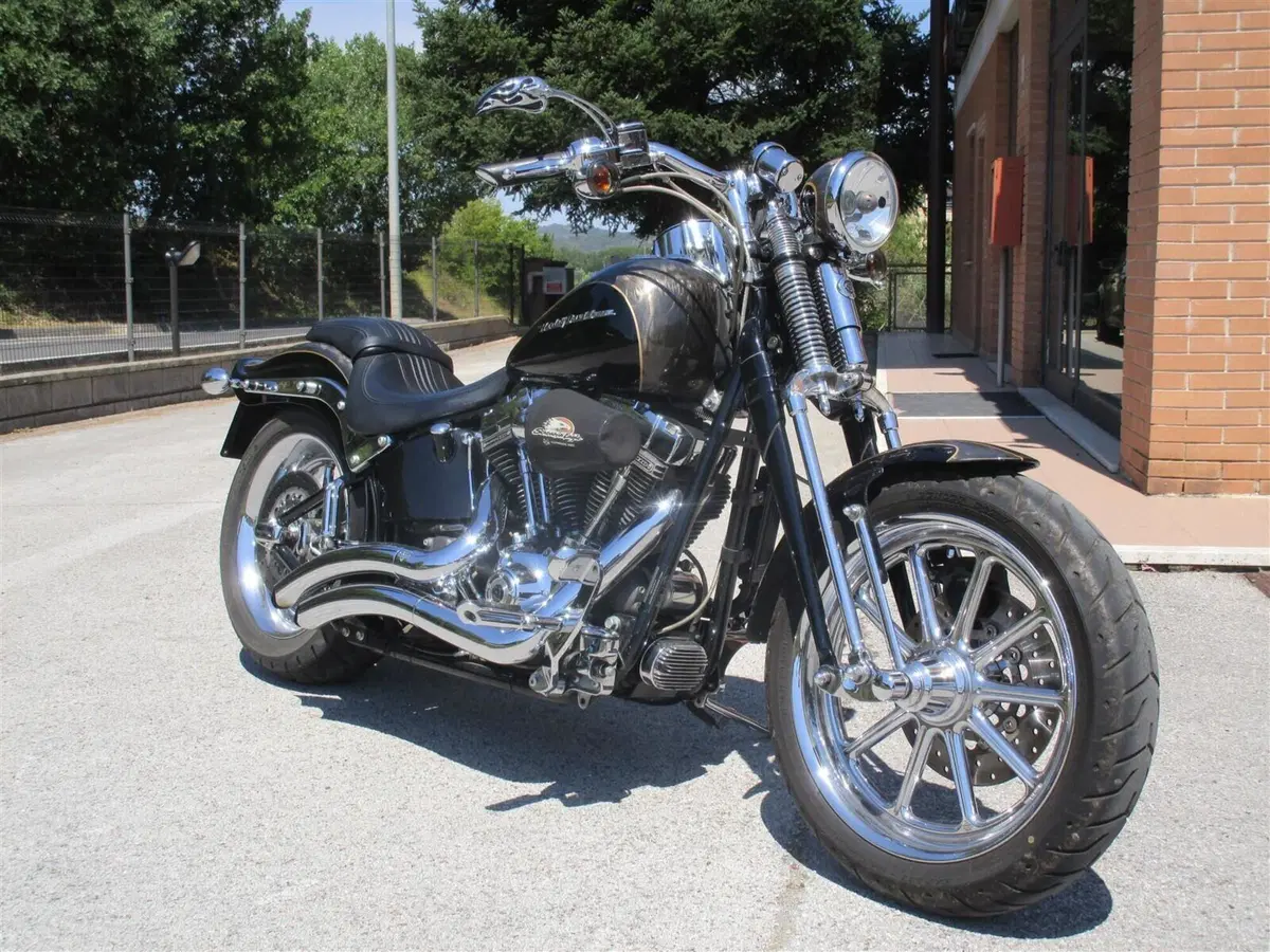 Harley-Davidson 1800 Springer (2009 - 12) - FXSTSSE (2)