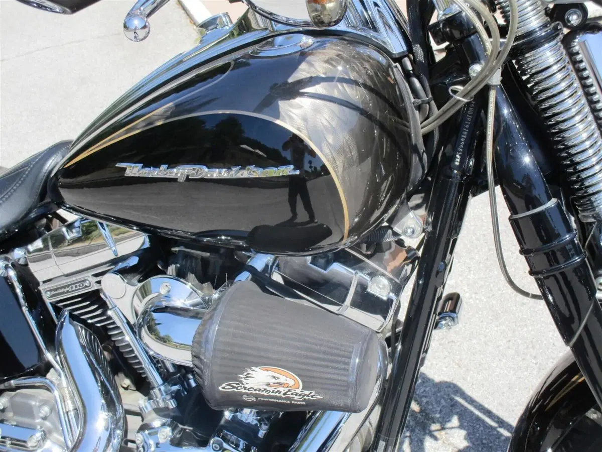 Harley-Davidson 1800 Springer (2009 - 12) - FXSTSSE (8)