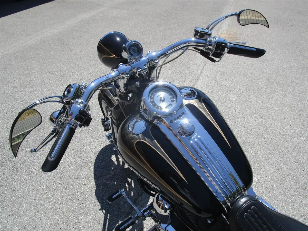 Harley-Davidson 1800 Springer (2009 - 12) - FXSTSSE (9)