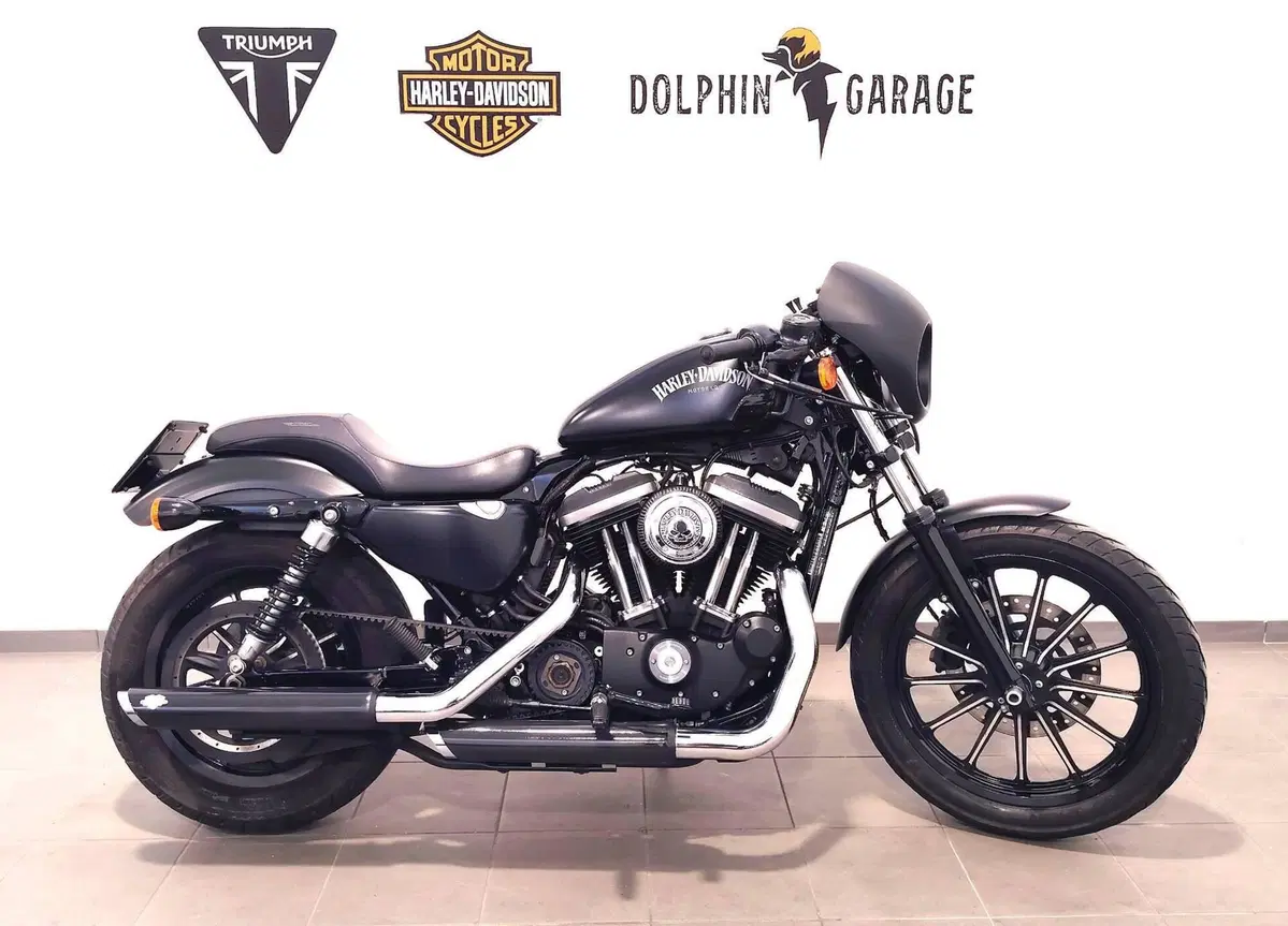 Harley-Davidson 883 Iron (2014 - 16) - XL 883N (2)