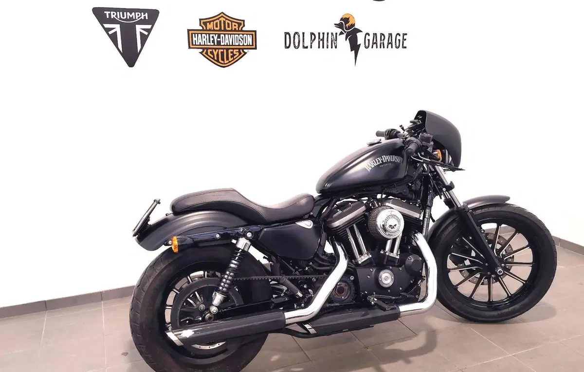 Harley-Davidson 883 Iron (2014 - 16) - XL 883N (3)