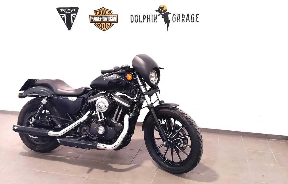 Harley-Davidson 883 Iron (2014 - 16) - XL 883N (4)