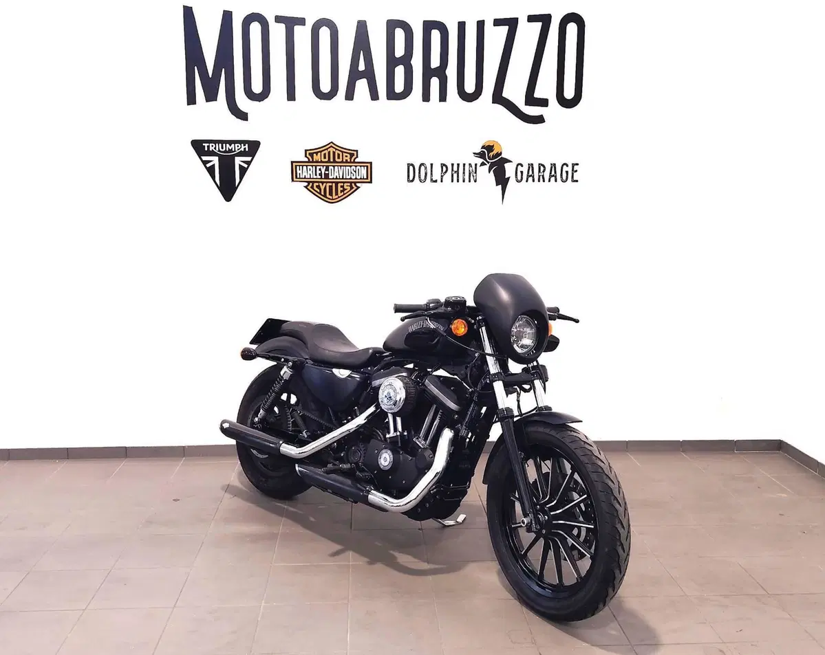 Harley-Davidson 883 Iron (2014 - 16) - XL 883N (5)