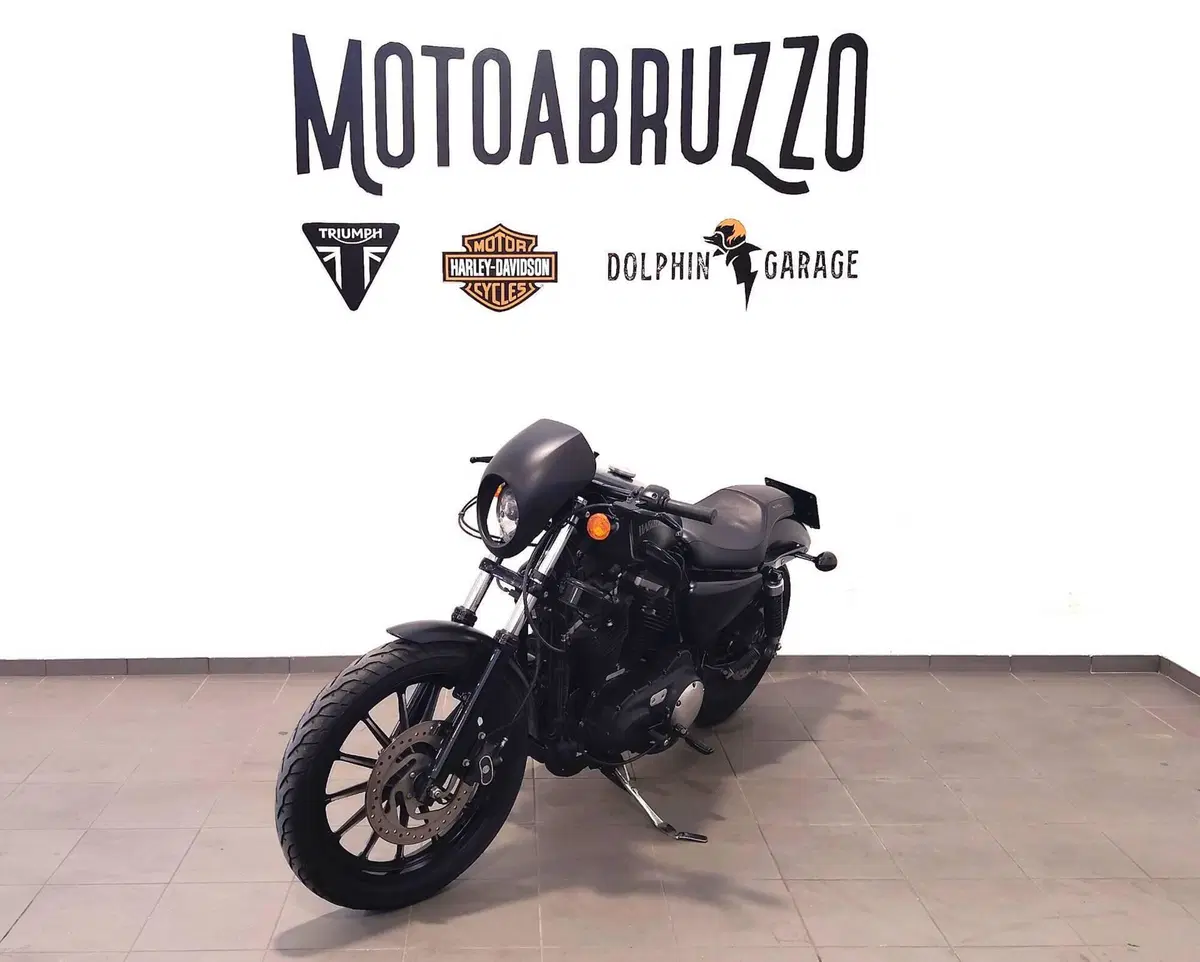 Harley-Davidson 883 Iron (2014 - 16) - XL 883N (6)