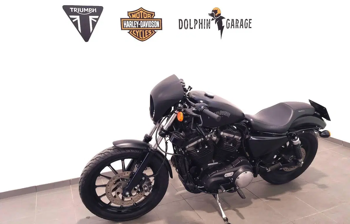 Harley-Davidson 883 Iron (2014 - 16) - XL 883N (9)