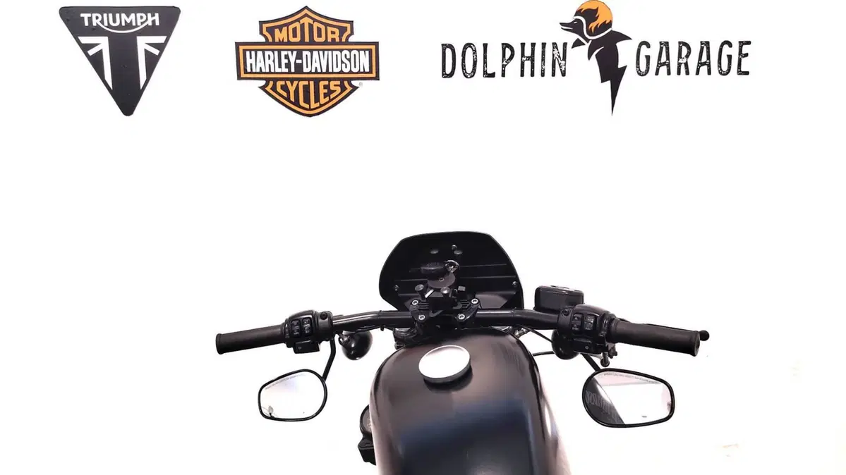 Harley-Davidson 883 Iron (2014 - 16) - XL 883N (13)