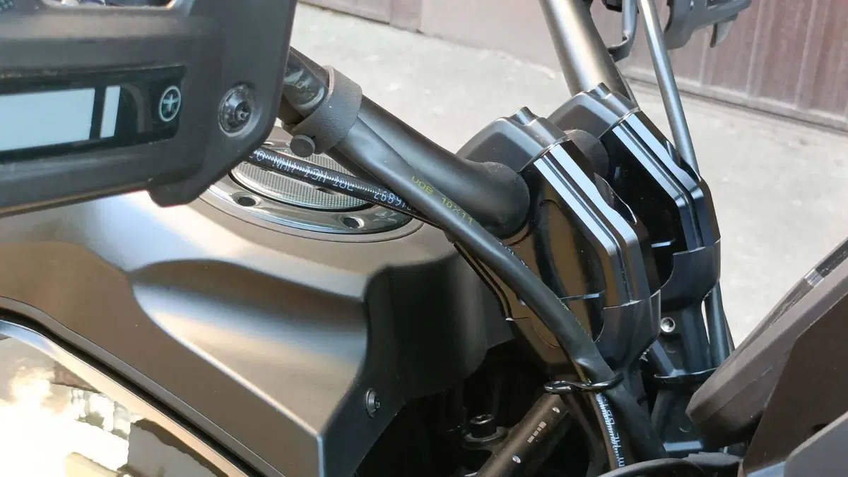 Harley-Davidson Pan America 1250 Special (2020 - 25) (6)