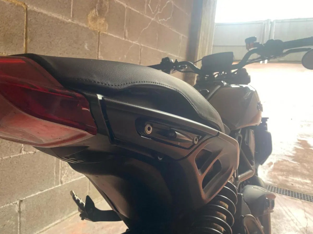 Indian FTR 1200 S (2019 - 20) (12)