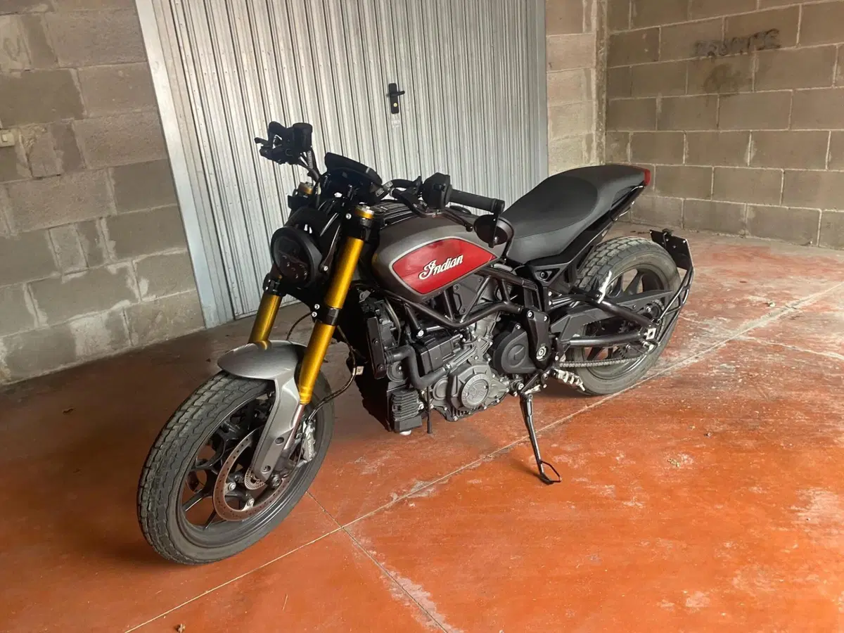 Indian FTR 1200 S (2019 - 20) (9)