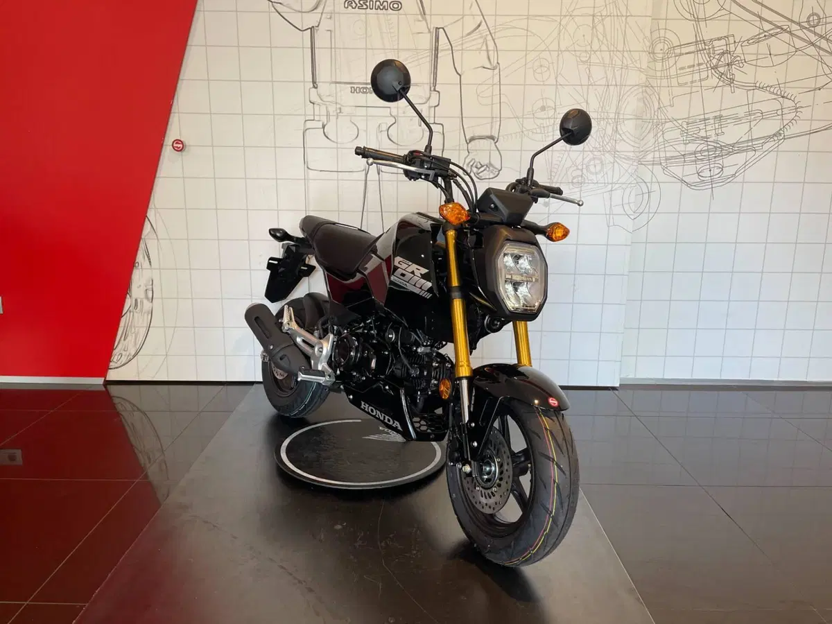 Honda MSX 125 Grom (2021 - 26) (3)