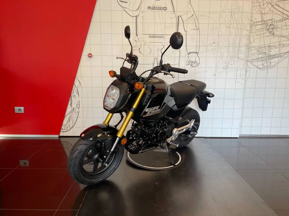 Honda MSX 125 Grom (2021 - 26) (5)