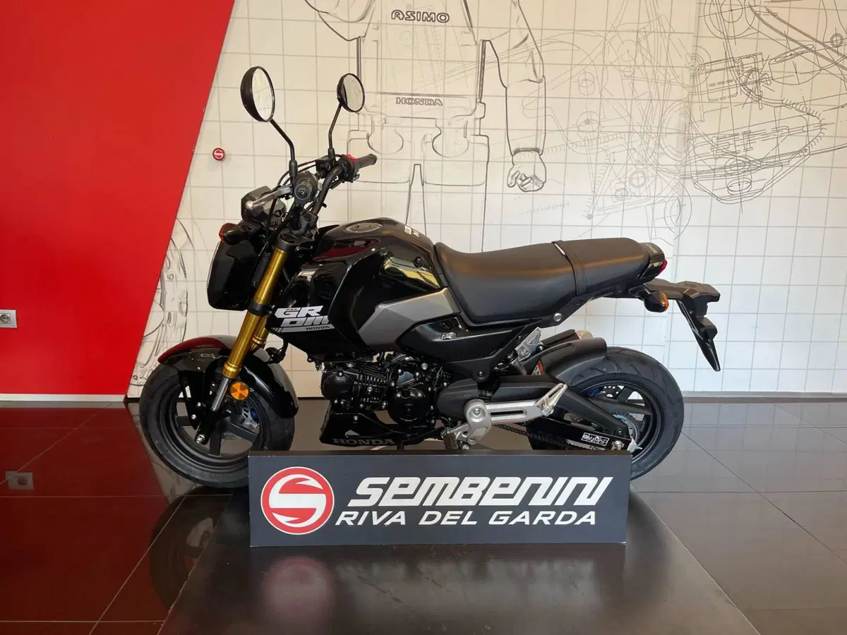 Honda MSX 125 Grom (2021 - 26) (6)