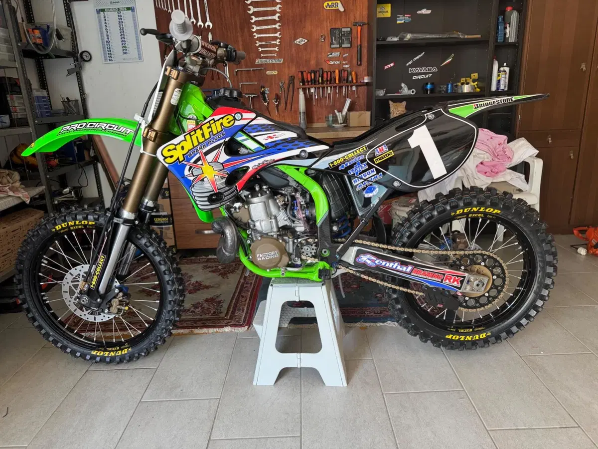 Kawasaki KX250 L4 (2002)