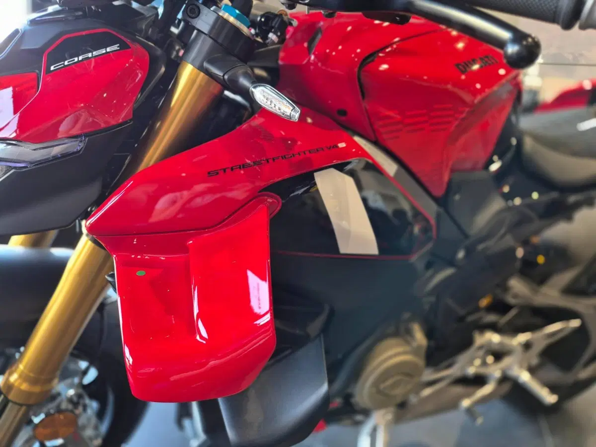 Ducati Streetfighter V4 S (2025 - 26) (7)