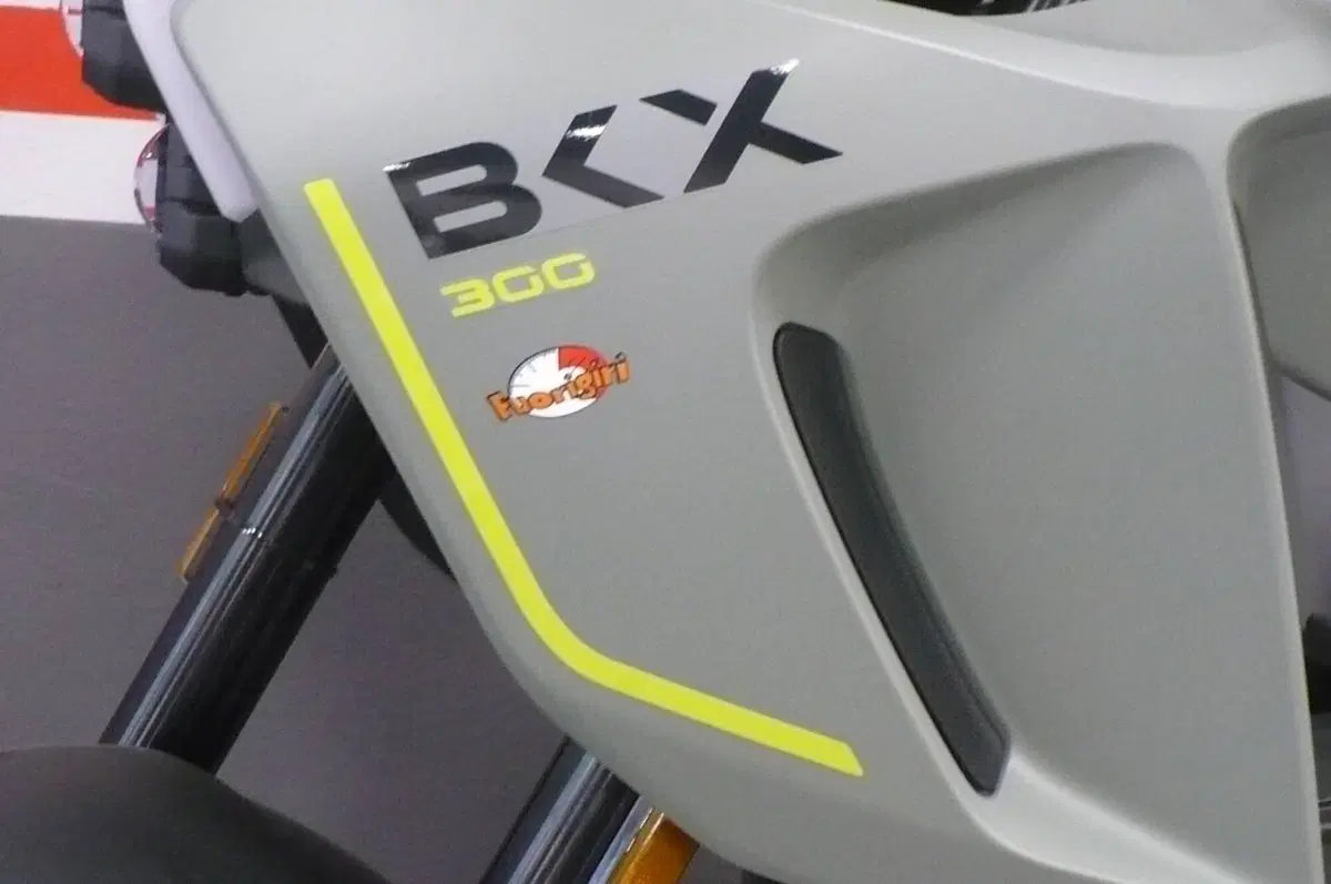 Benelli BKX 300 (2026) (3)