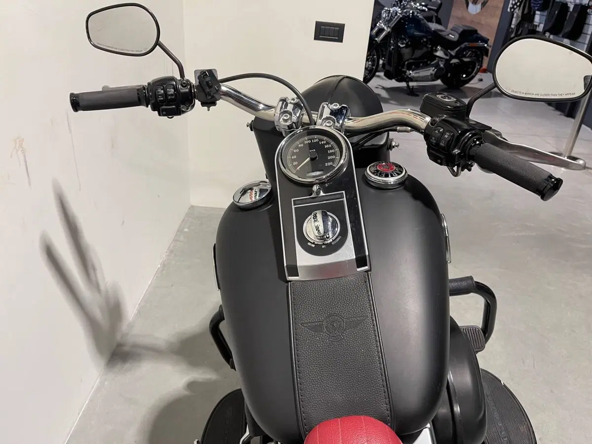 Harley-Davidson 1584 Fat Boy (2008 - 10) - FLSTF (8)