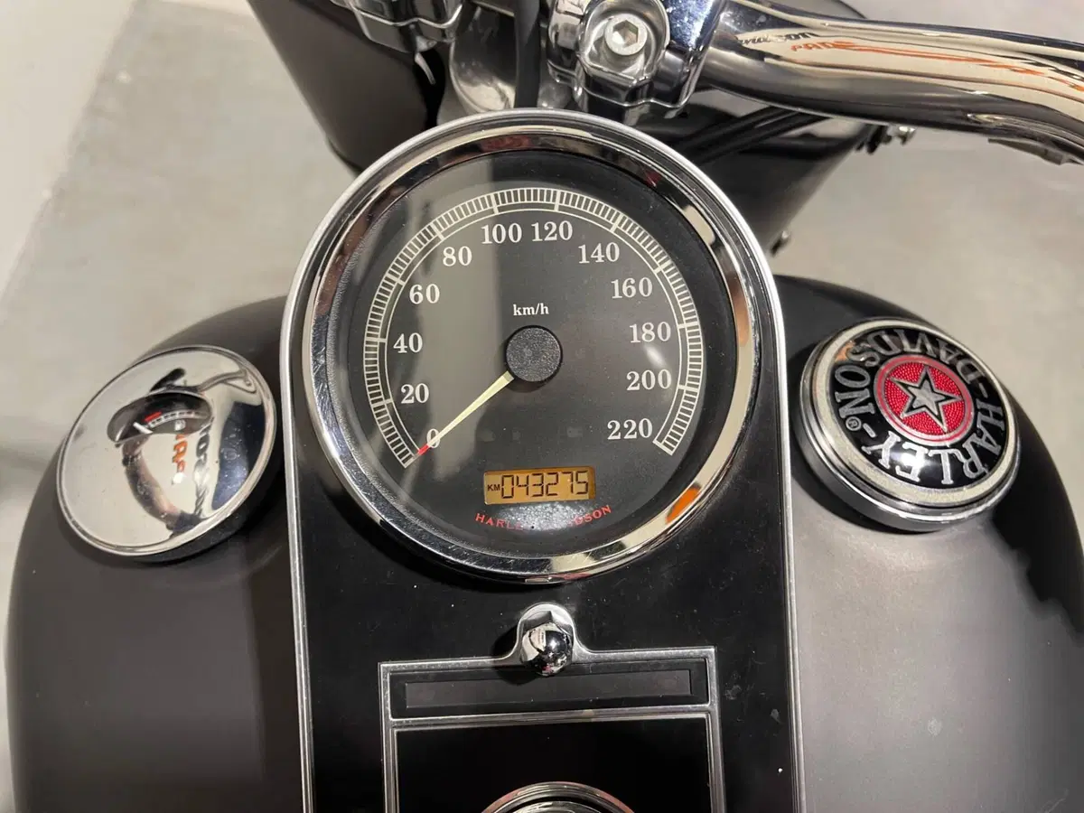 Harley-Davidson 1584 Fat Boy (2008 - 10) - FLSTF (9)
