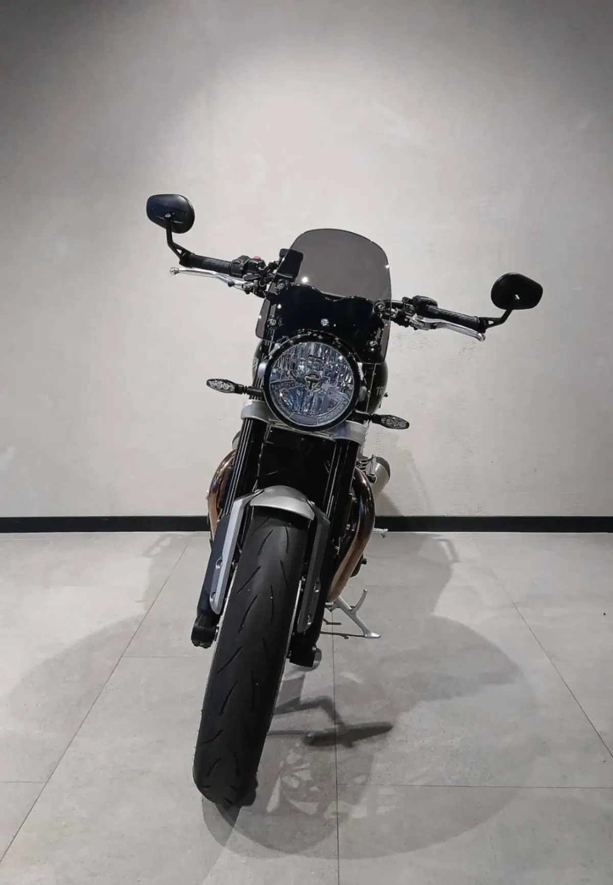 Triumph Speed Twin 1200 (2021 - 24) (3)