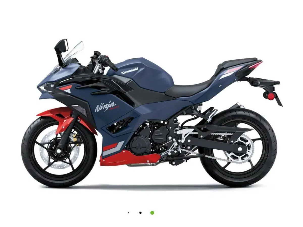 Kawasaki Ninja 500 SE (2024 - 26) (9)