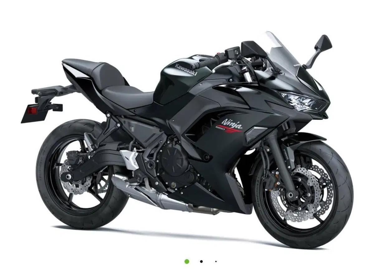 Kawasaki Ninja 650 (2025 - 26) (7)