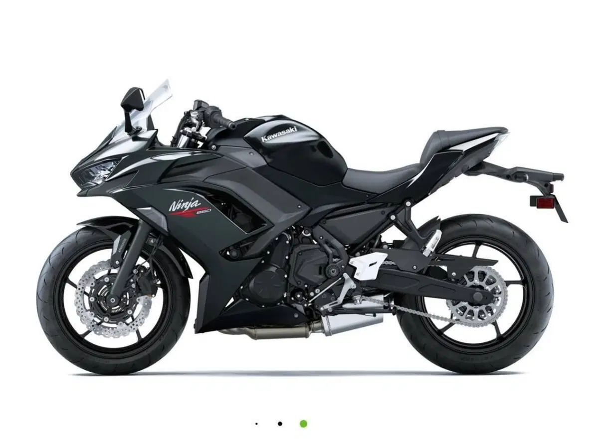 Kawasaki Ninja 650 (2025 - 26) (9)