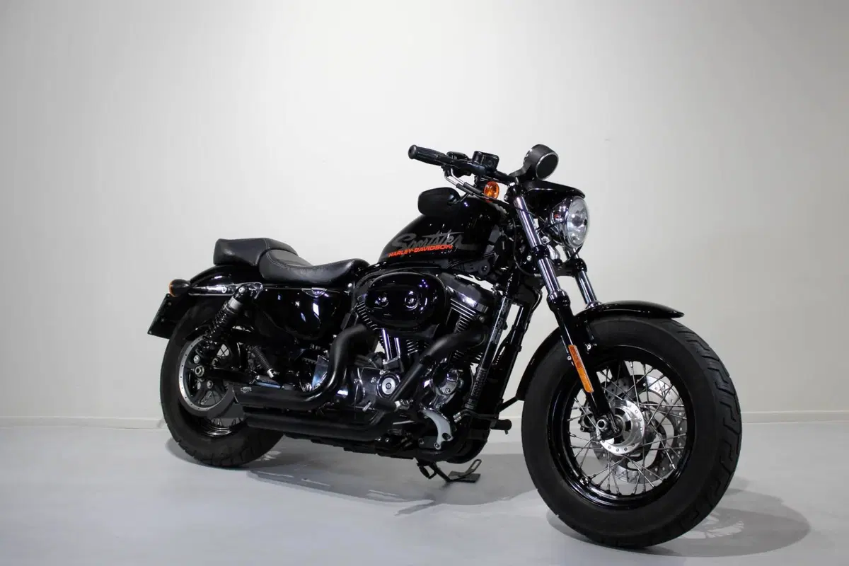 Harley-Davidson 1200 Forty-Eight (2016 - 20) (2)