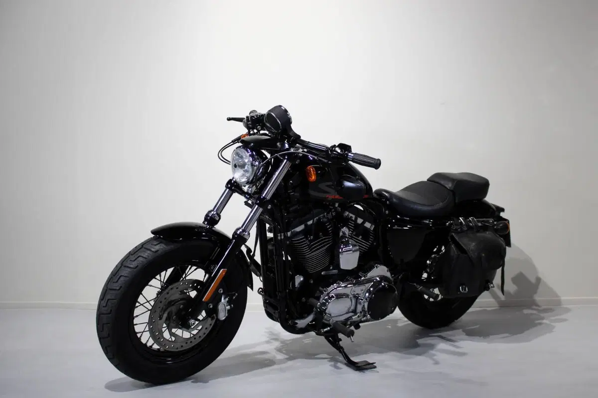 Harley-Davidson 1200 Forty-Eight (2016 - 20) (3)