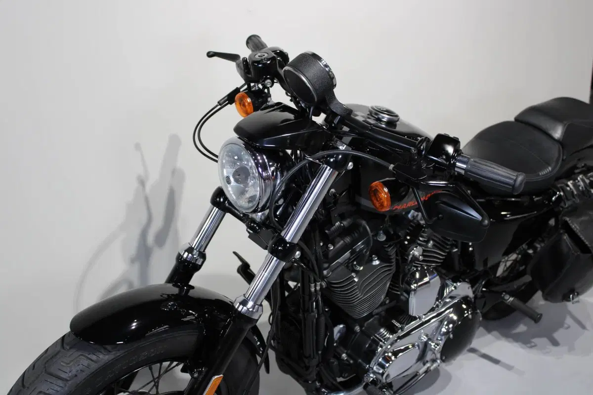 Harley-Davidson 1200 Forty-Eight (2016 - 20) (6)