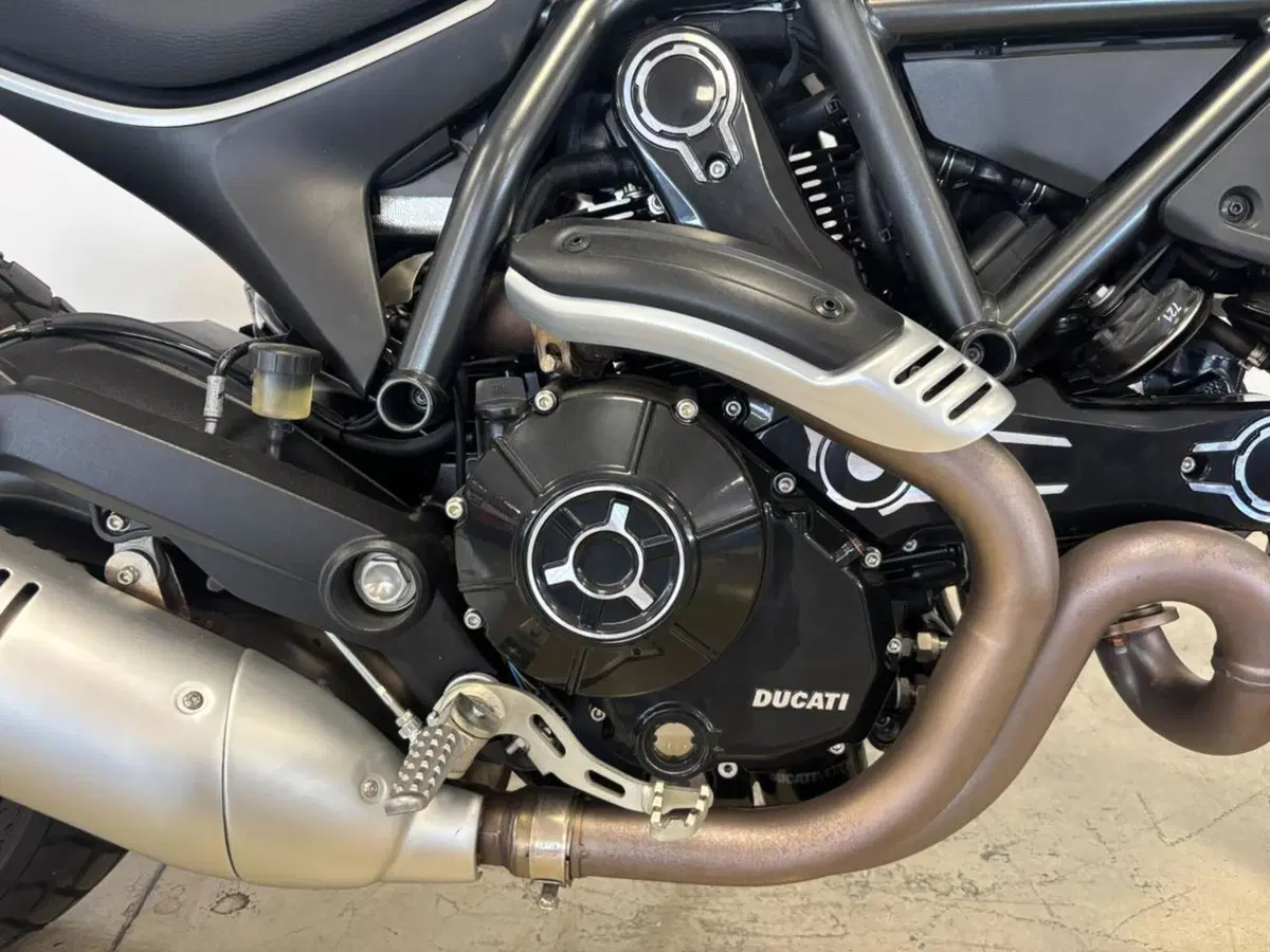 Ducati Scrambler 800 Icon (2021 - 22) (6)