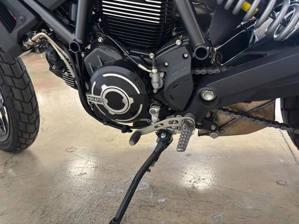 Ducati Scrambler 800 Icon (2021 - 22) (11)