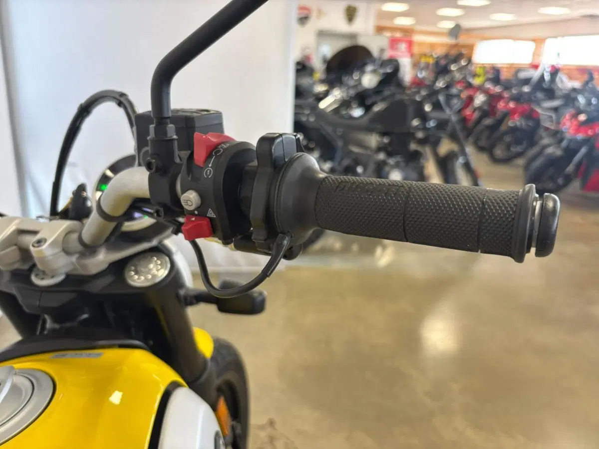 Ducati Scrambler 800 Icon (2021 - 22) (13)