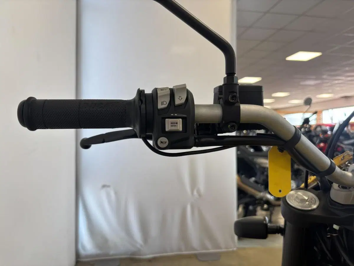 Ducati Scrambler 800 Icon (2021 - 22) (12)