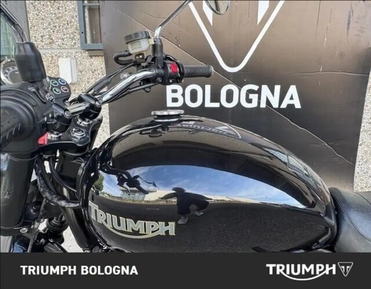 Triumph Bonneville SE (2009 - 13) (3)