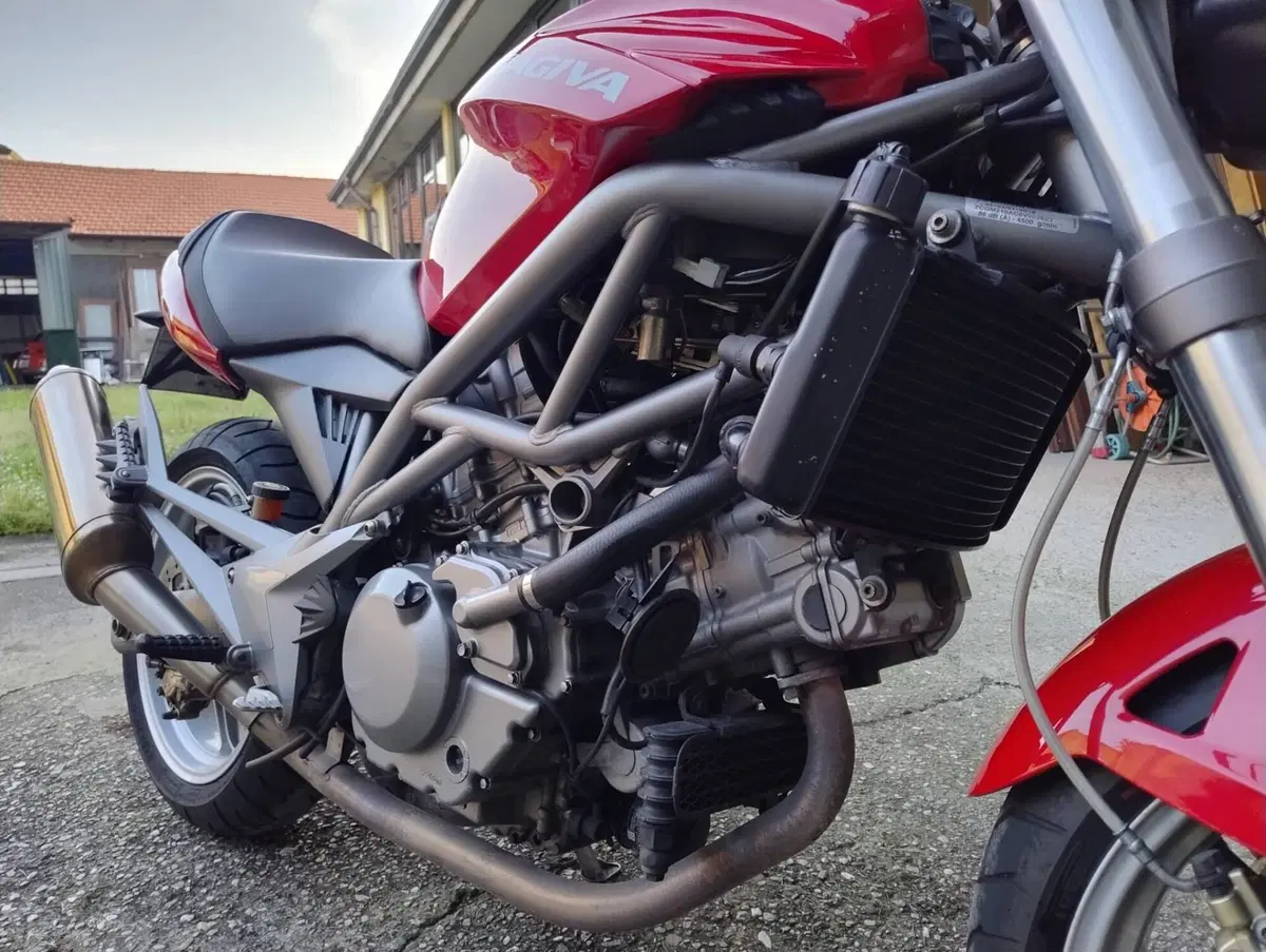 Cagiva Raptor 650 (2005 - 07) (10)