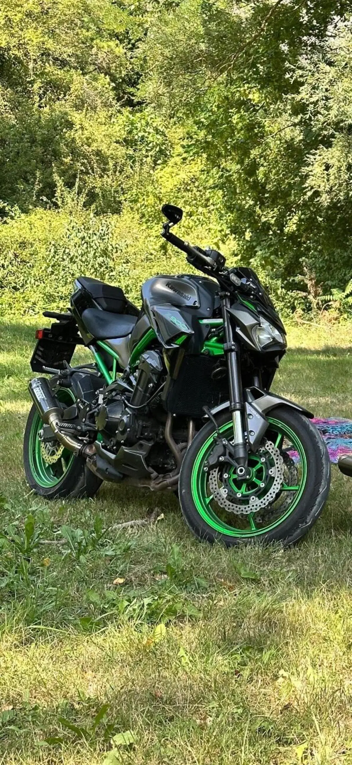 Kawasaki Z 900 A2 (2021 - 24)
