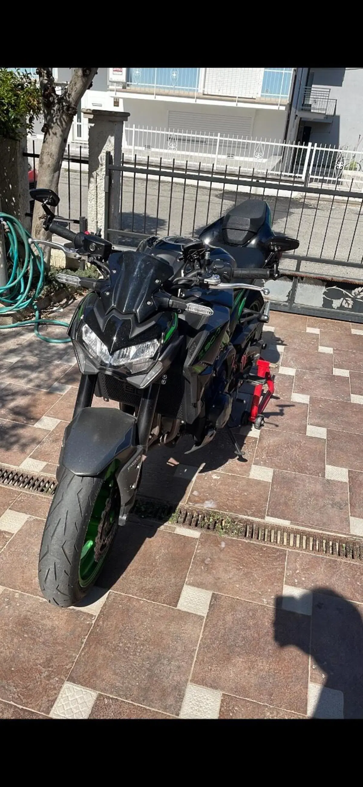 Kawasaki Z 900 A2 (2021 - 24) (2)