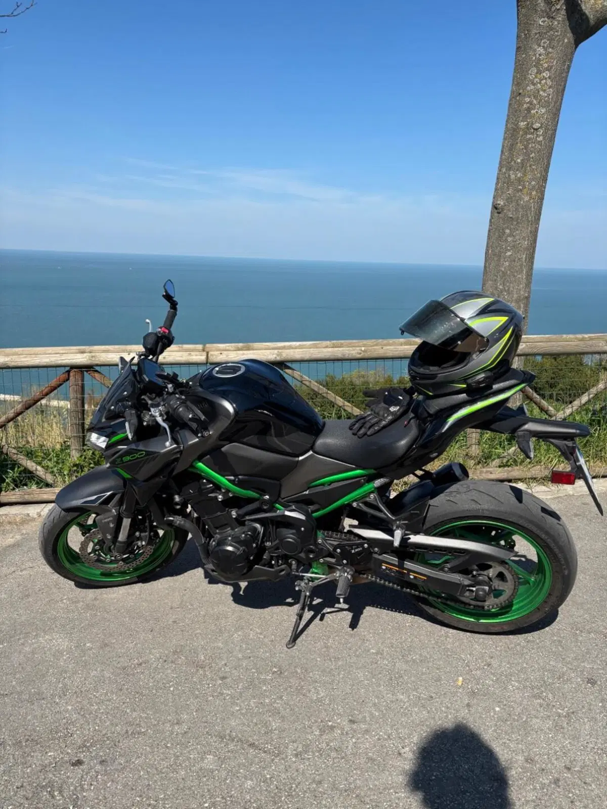 Kawasaki Z 900 A2 (2021 - 24) (5)