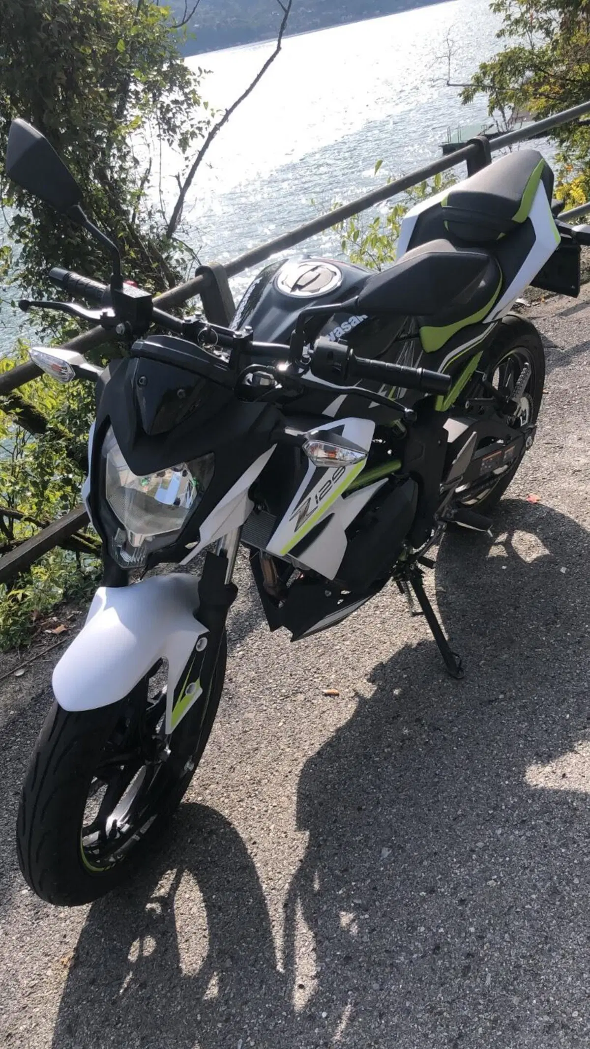 Kawasaki Z 125 (2021 - 24) (3)