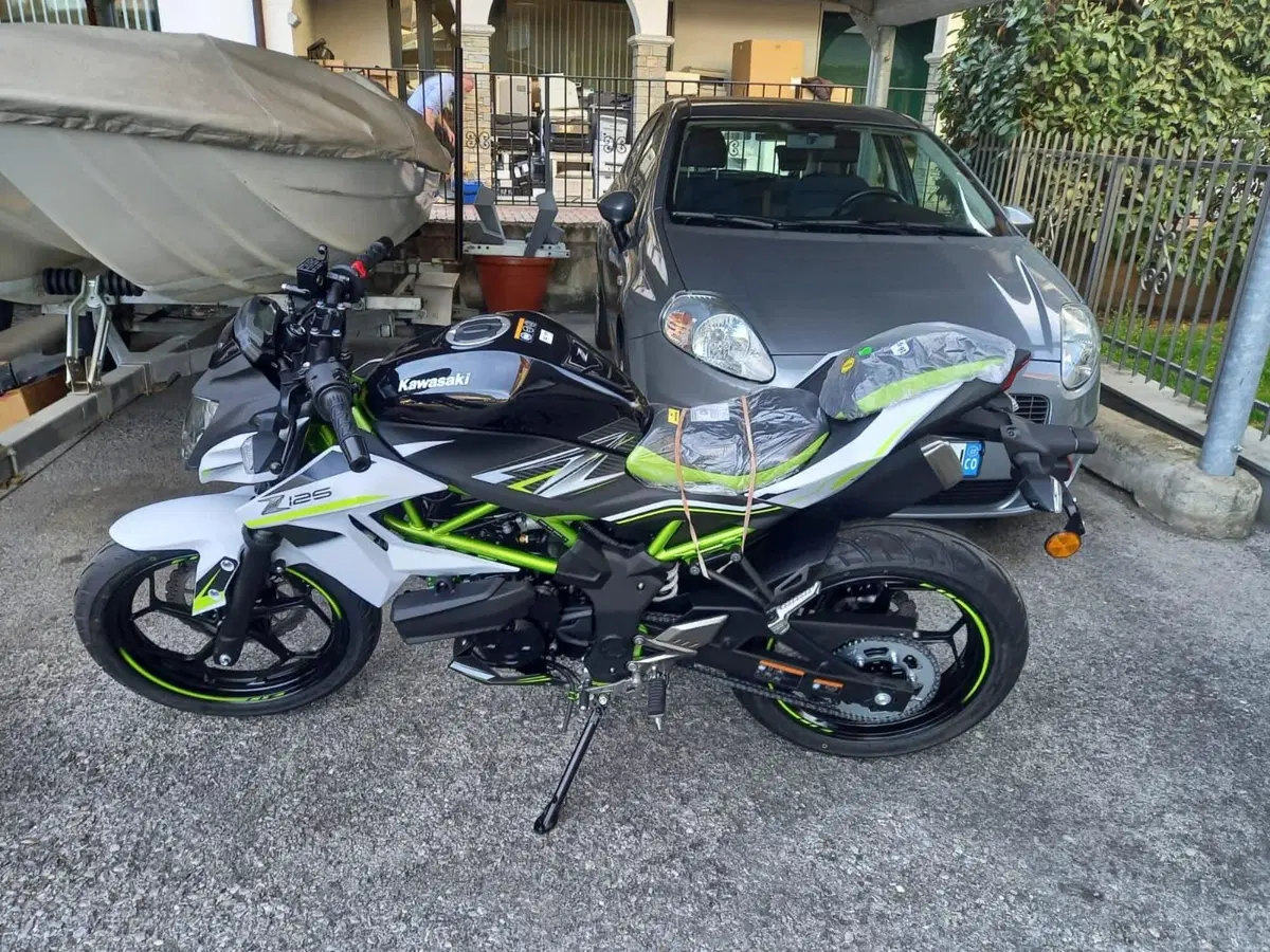 Kawasaki Z 125 (2021 - 24) (4)