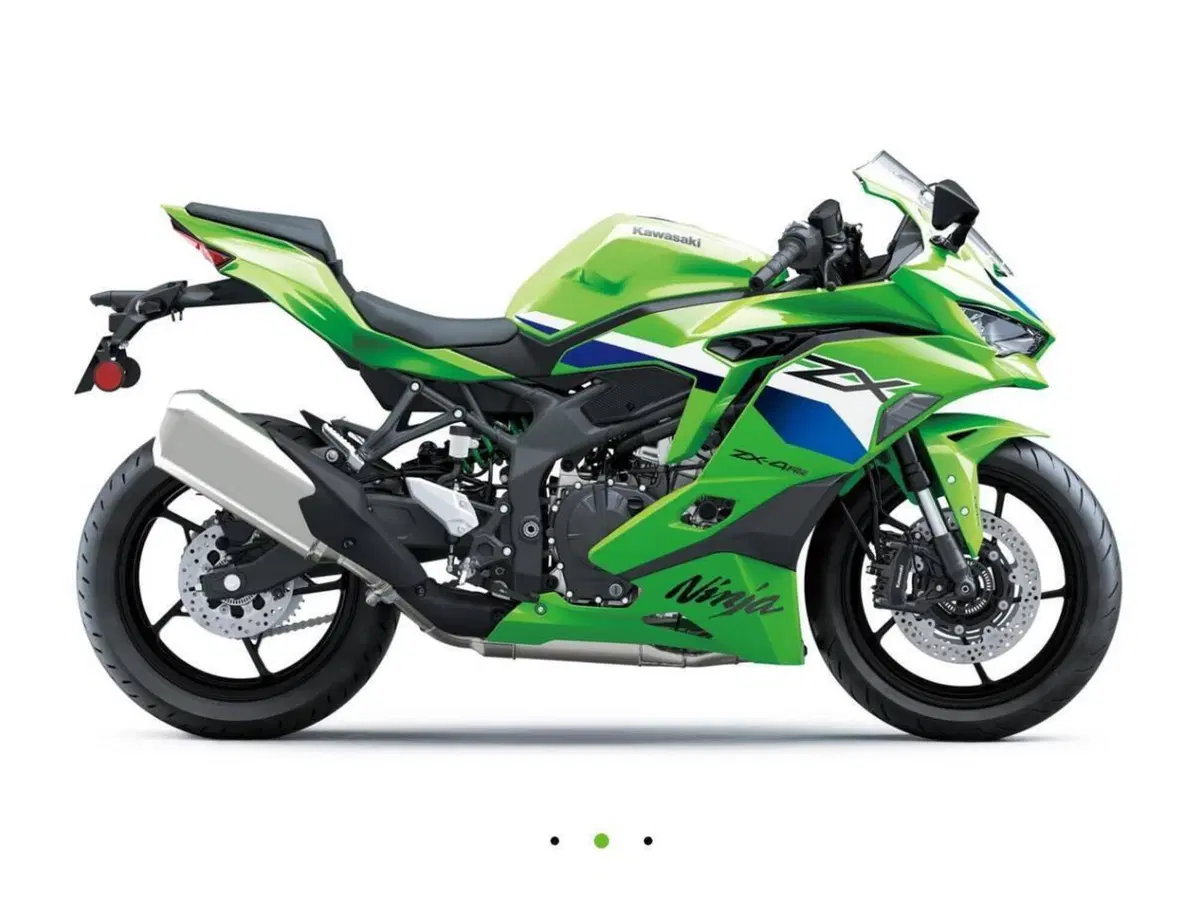 Kawasaki Ninja ZX-4RR (2024 - 26) (2)
